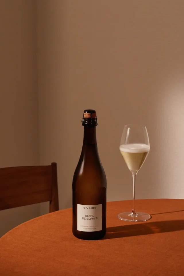 Masterclass Oddbird — Liberated from Alcohol