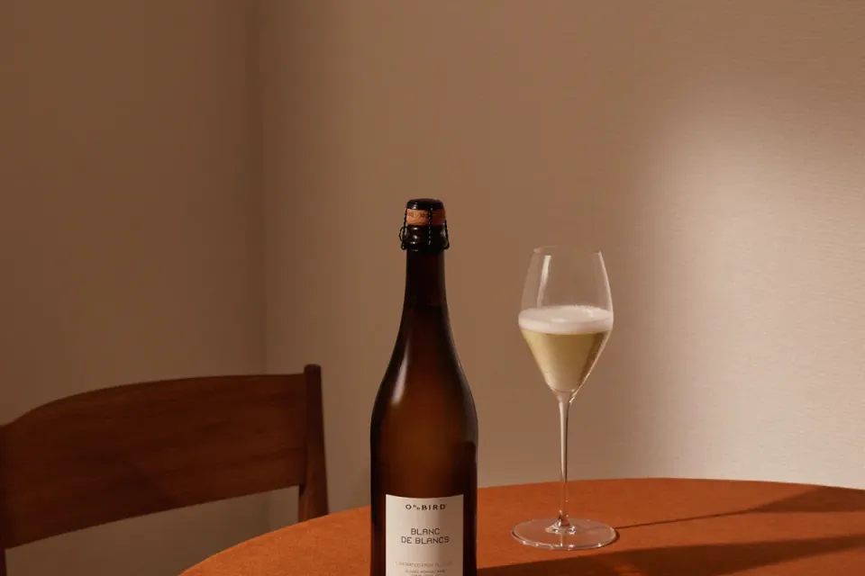 Masterclass Oddbird — Liberated from Alcohol