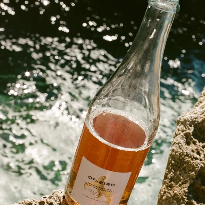 Oddbird Low Intervention Sparkling Orange Nº1