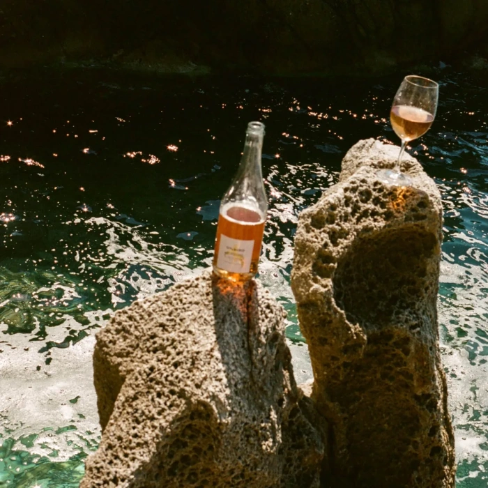 Oddbird Low Intervention Sparkling Orange Nº1