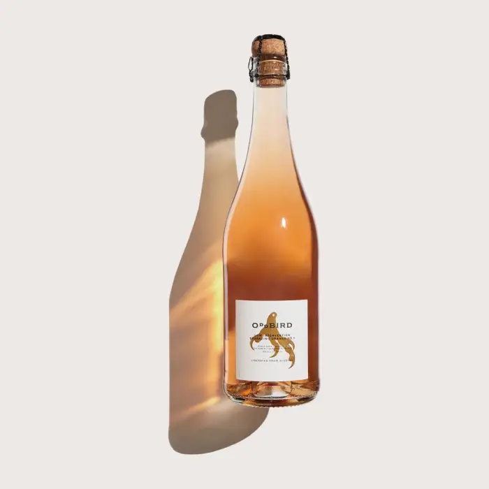 Oddbird Low Intervention Sparkling Orange Nº1